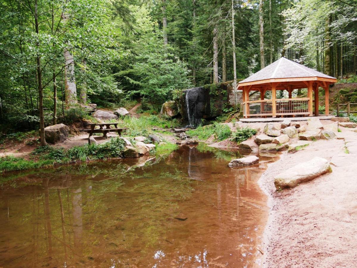 Paillehouse Vosges Villa Denipaire Kültér fotó